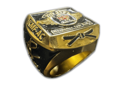 Krav Maga Ring I stand with israel